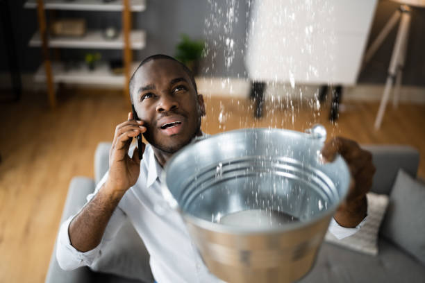 Best Commercial water damage restoration  in Cheshire Village, CT