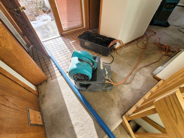 Best Water damage restoration near me  in Cheshire Village, CT