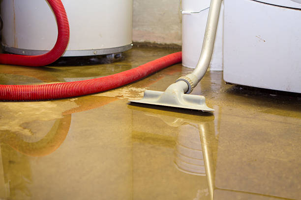 Best Residential water damage restoration  in Cheshire Village, CT