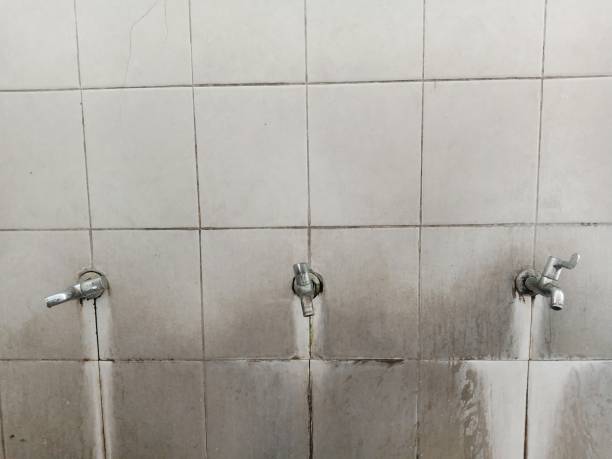 Best Water damage restoration services  in Cheshire Village, CT