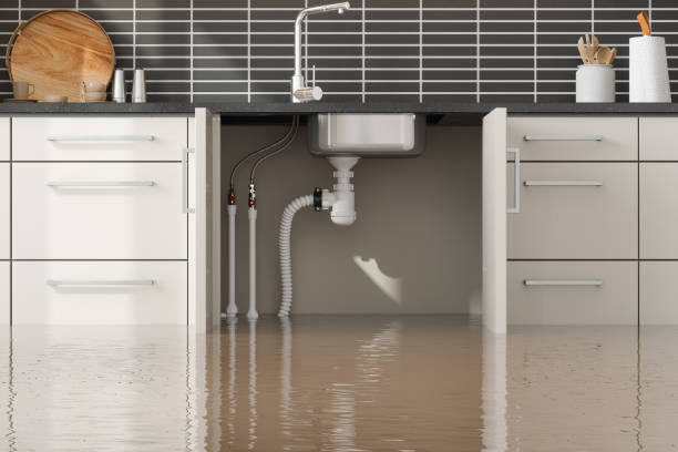 Best Ceiling water damage repair  in Cheshire Village, CT