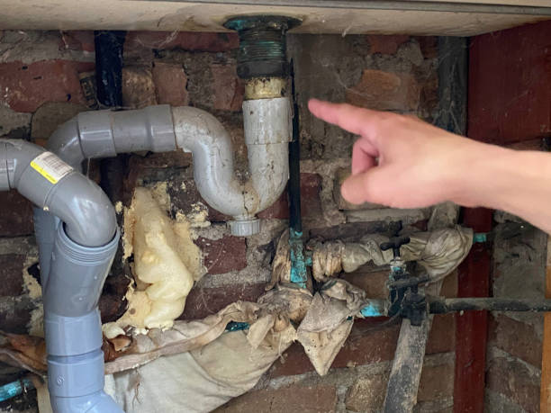 Best Water damage mitigation services  in Cheshire Village, CT